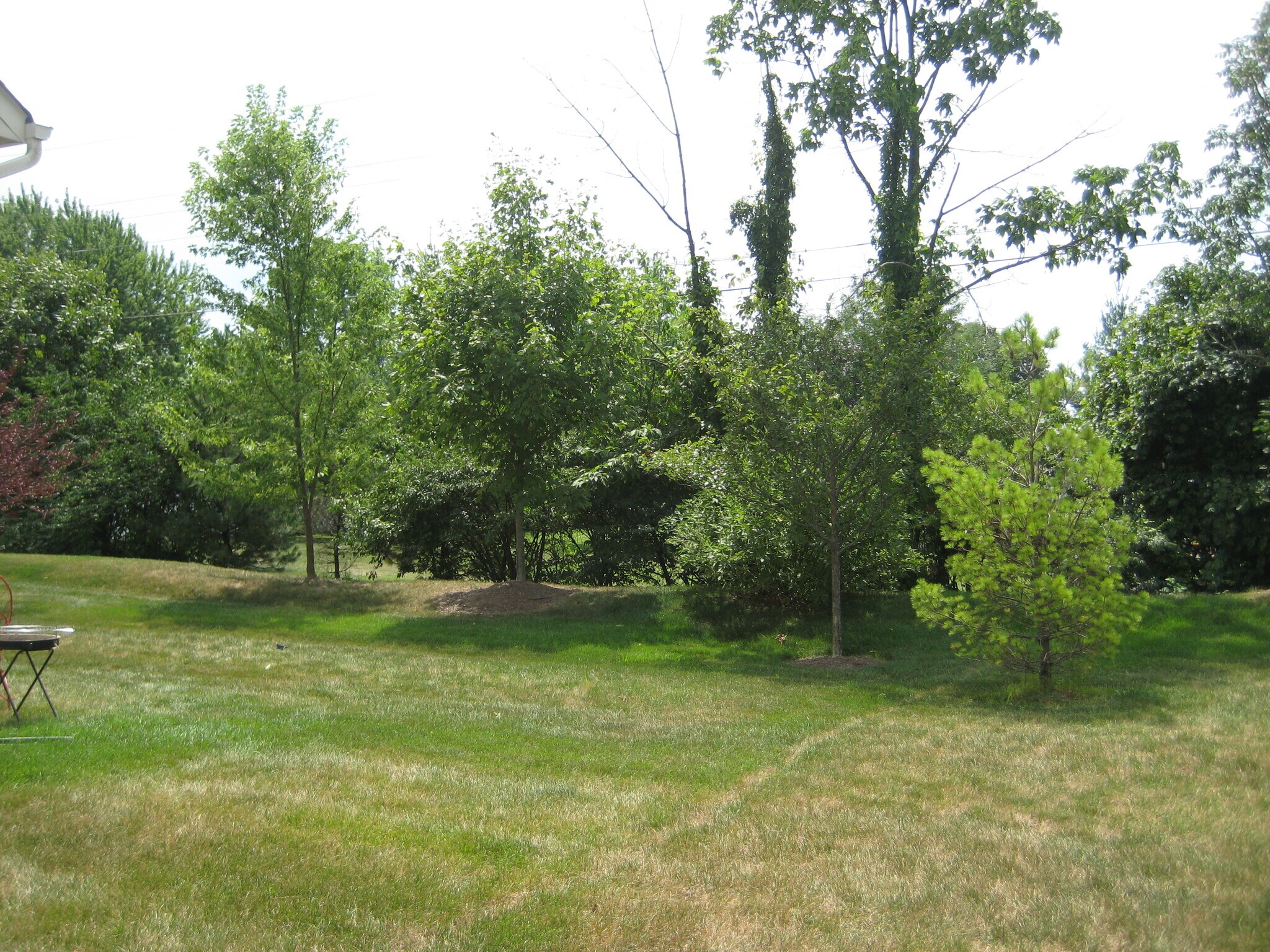 Building Photo - 3829 Taft Ave