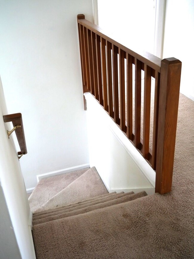 Building Photo - 113 Amelia Ct