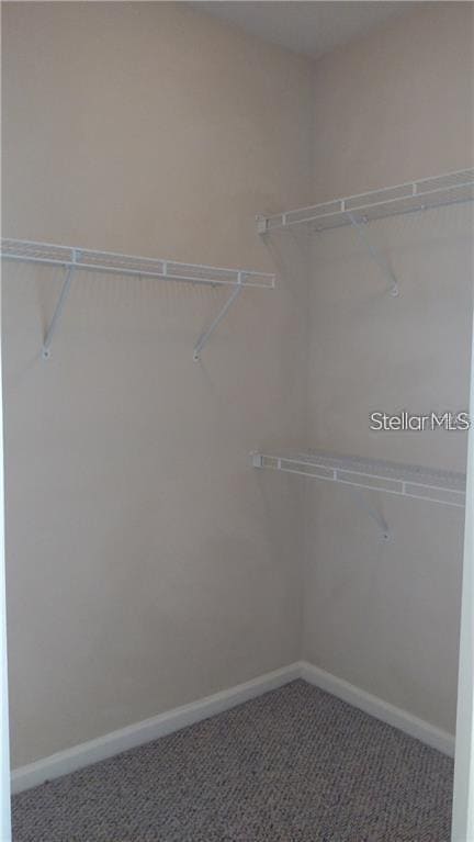 Building Photo - 4207 S Dale Mabry Hwy