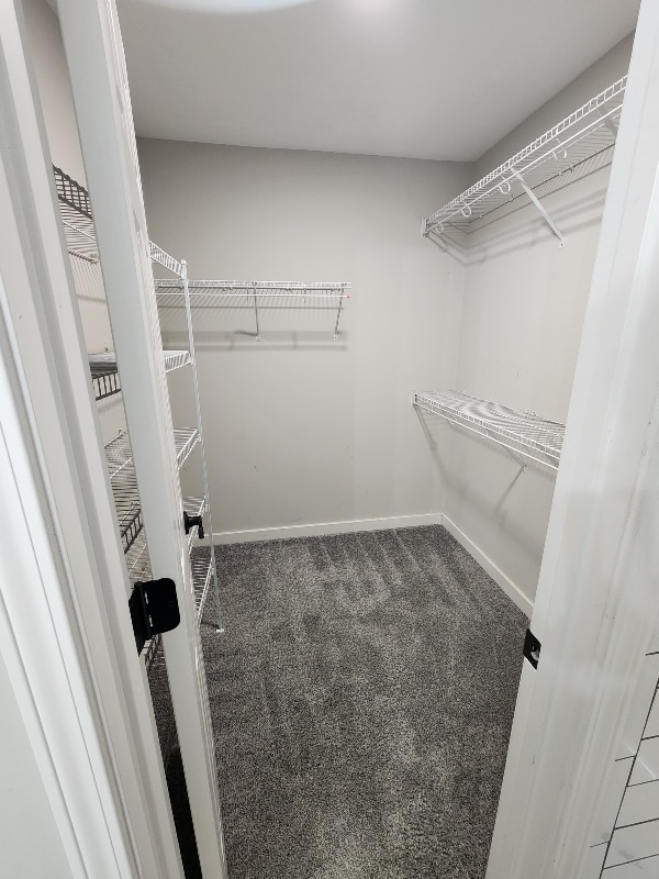 Building Photo - 2216 Milan Ct