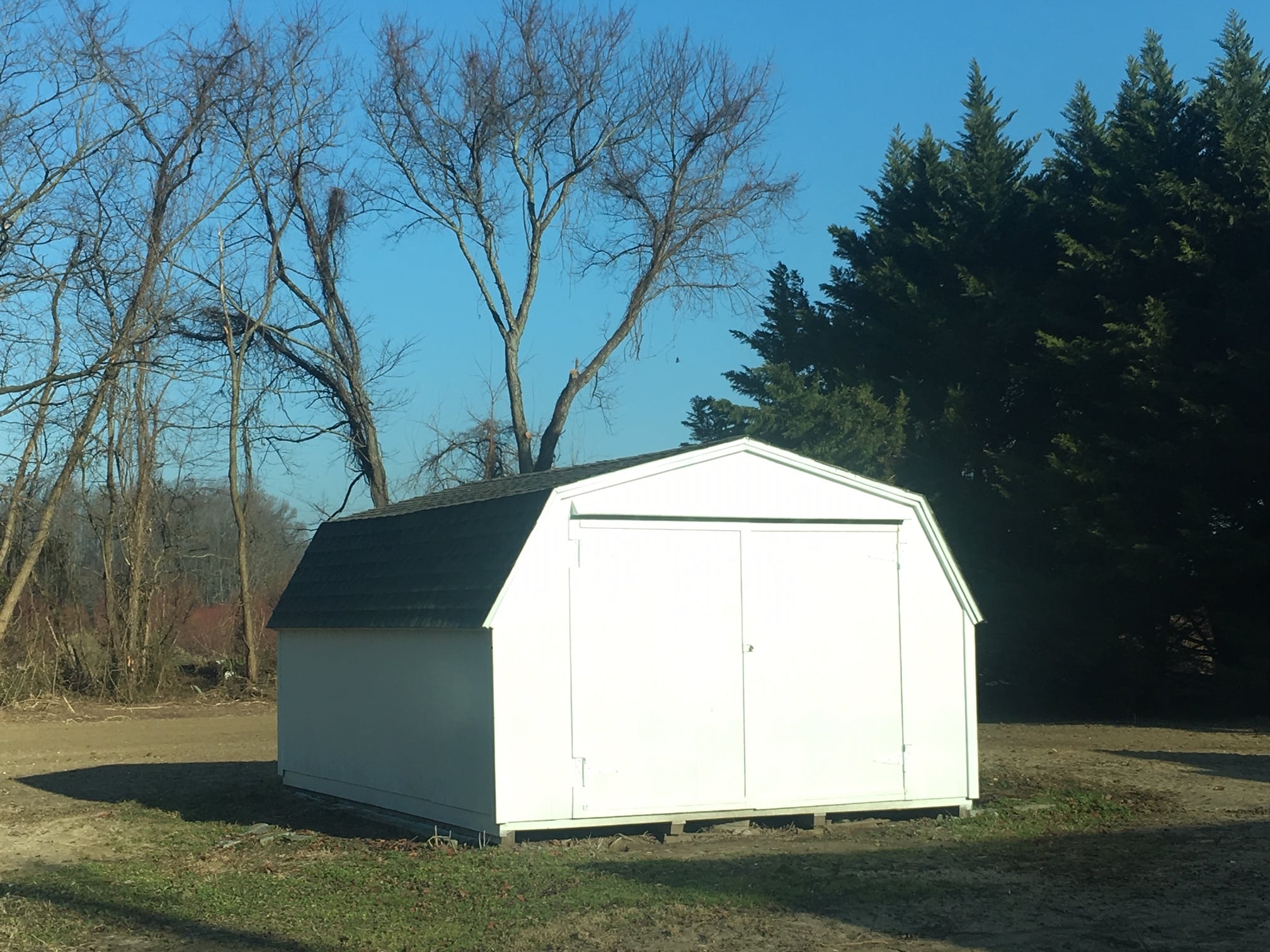Large shed in back yard (10X16) - 9765 Westville Rd