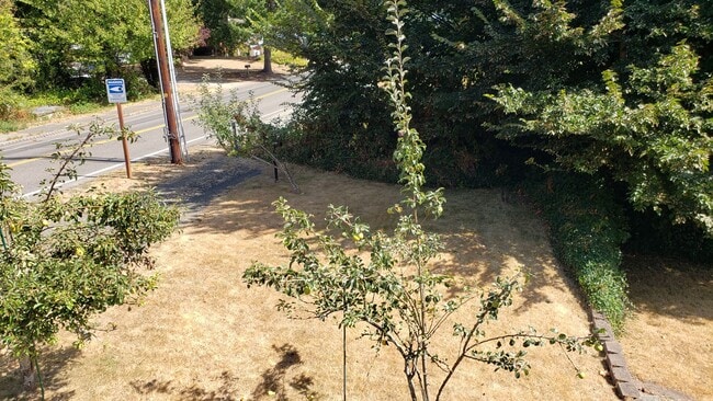 Building Photo - Great 3bd 2 bath in Heart of Gig Harbor