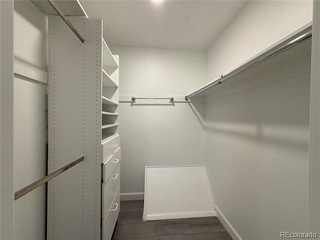 Building Photo - 529 S Xenon Ct