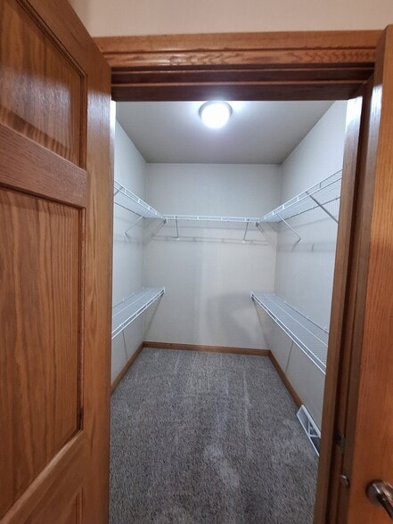 Building Photo - 1338 Haley Ct