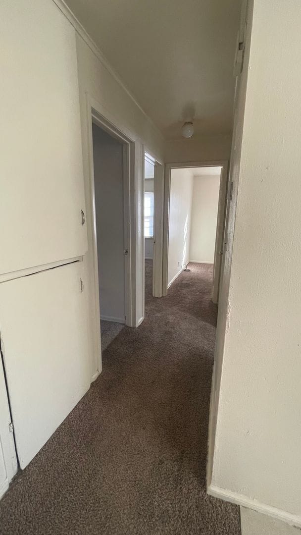 Building Photo - Large 3 bedroom w/ 2 living areas