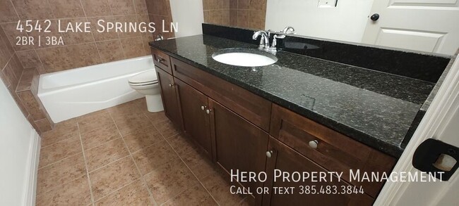 Building Photo - 4542 Lake Springs Ln