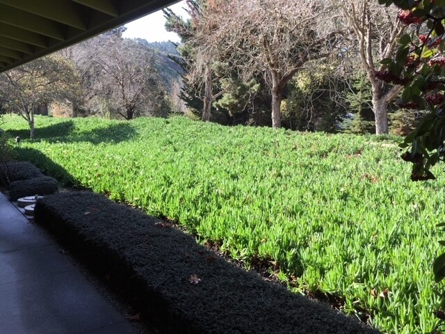 Building Photo - Great Two Bedroom, Two Bathroom home, Senior Living at Hacienda Carmel