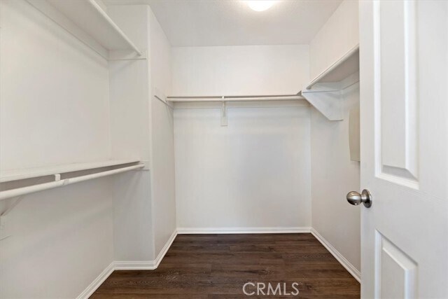 Building Photo - 3147 Red Cedar Trail