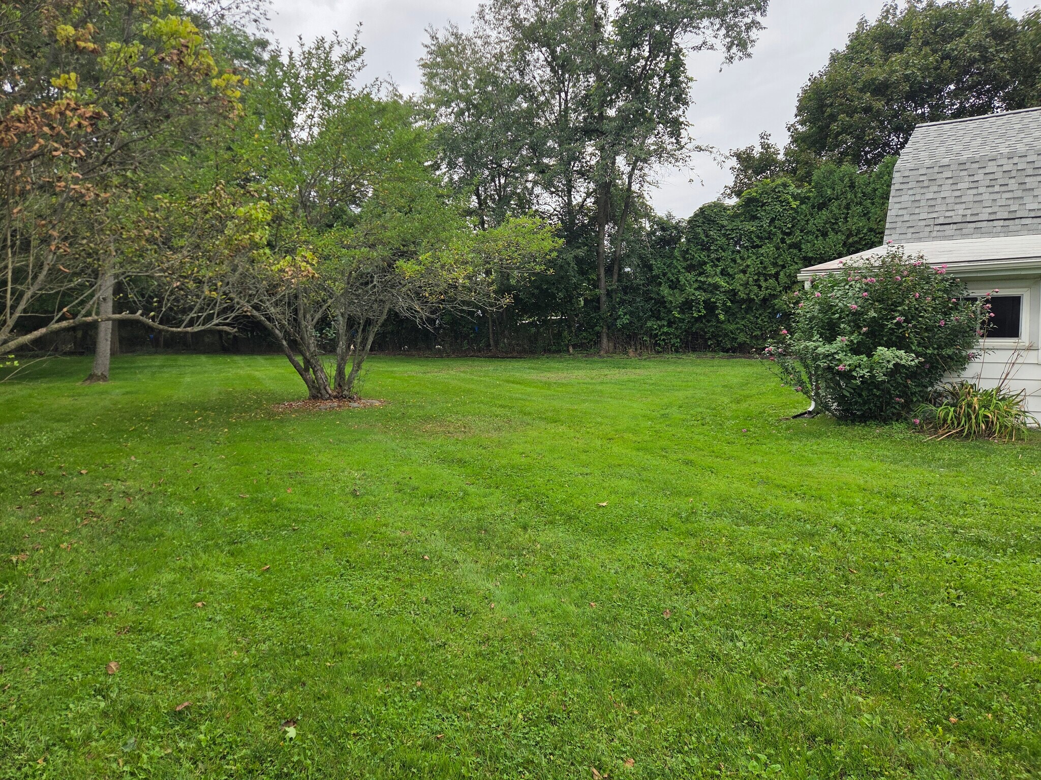 View from House - 117 Arlington Ave