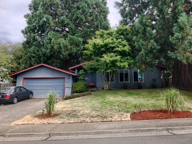 Primary Photo - Recently Updated 3 Bedroom House ~ North C...