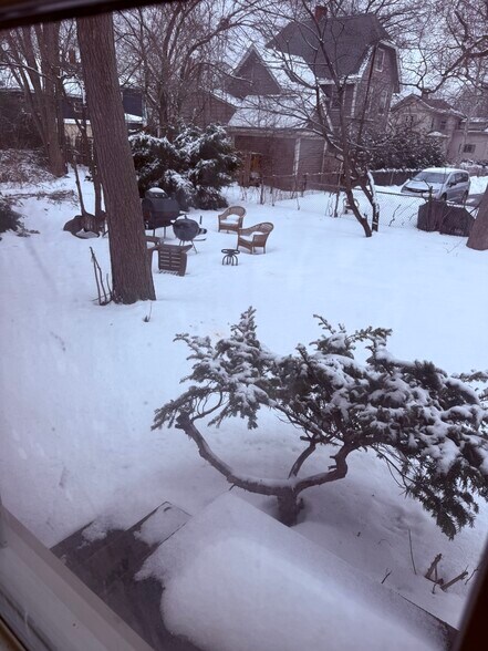 Backyard - 74 Morse St