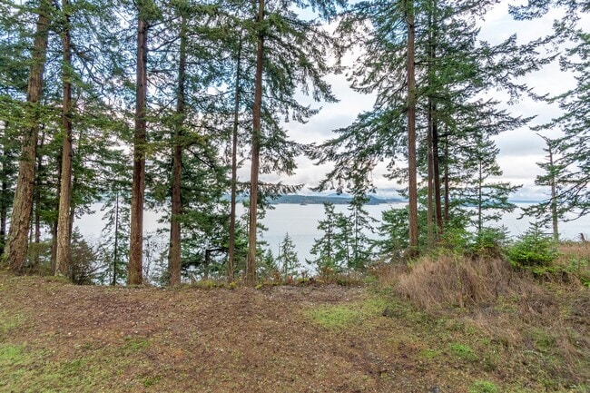 Building Photo - 3 Bedroom 2.5 bathroom nestled in woods with water view