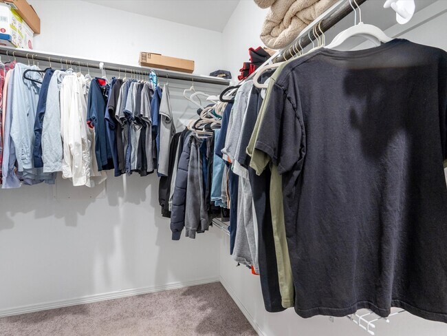 Building Photo - 10811 Violet Bloom Dr