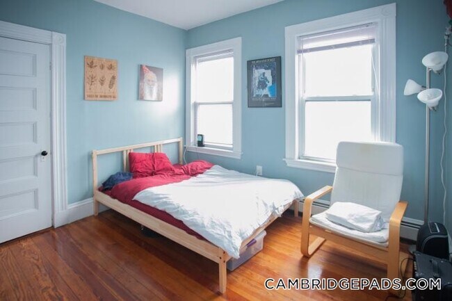 Building Photo - 173 Rindge Ave