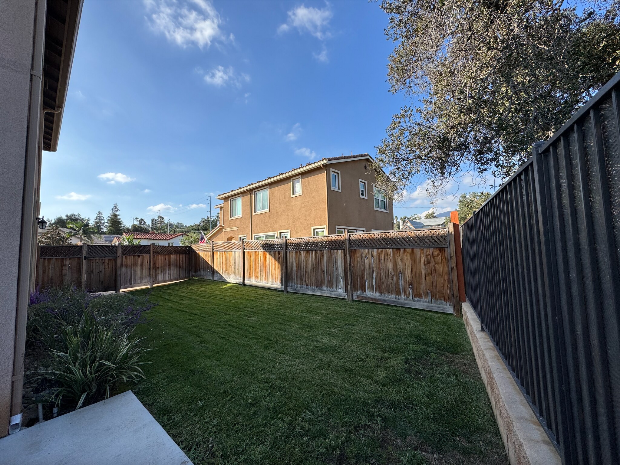 Backyard - 2020 Brentwood Pl