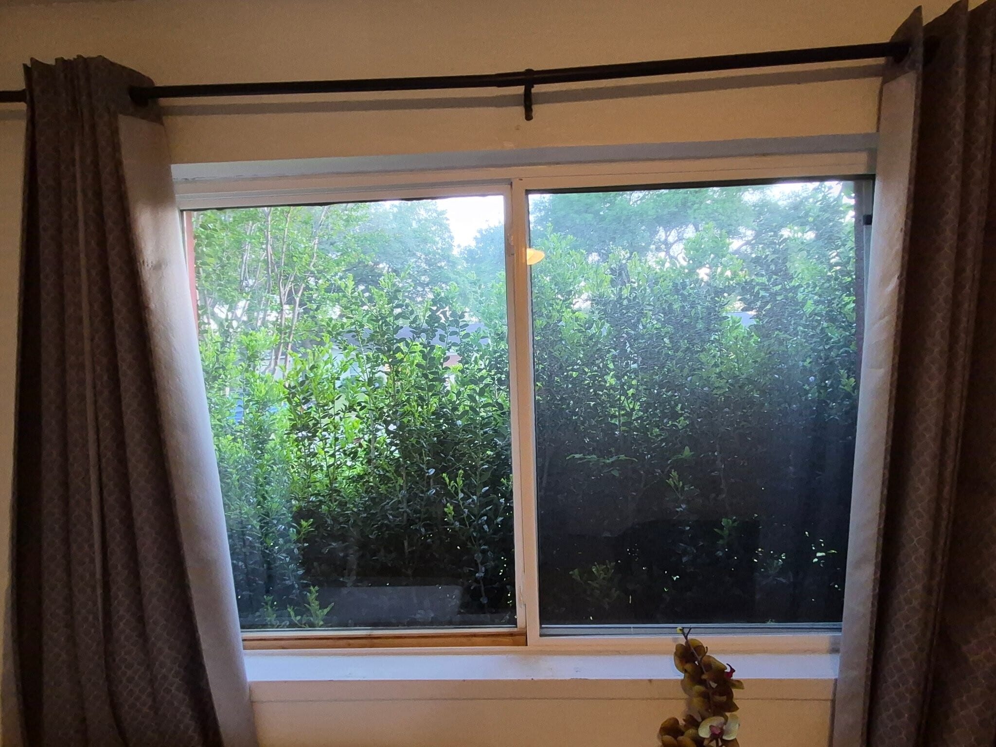 Building Photo - 1533 Bosque Dr