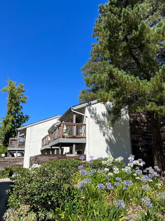 4081 Clayton Rd 4081 Clayton Rd Concord CA 94521 Apartment Finder