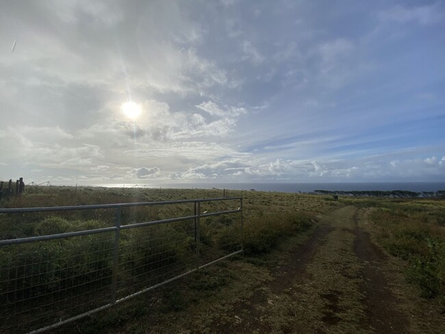 Building Photo - Expansive Ocean View & Quiet Country Livin...