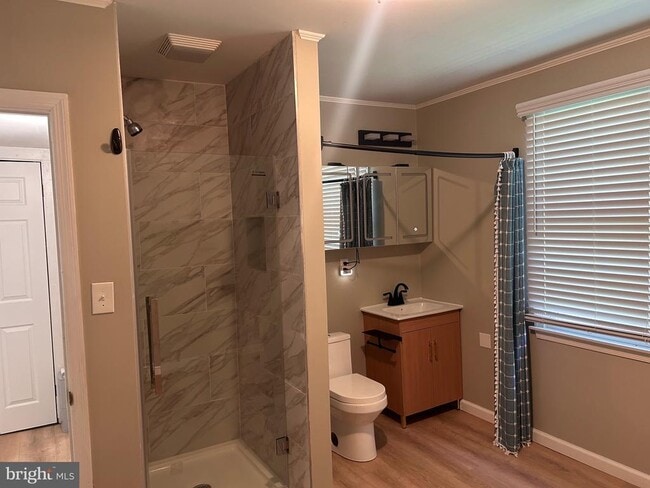 Building Photo - 145 Wilson St