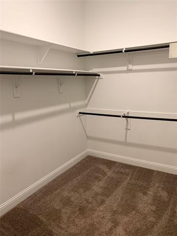Building Photo - 4267 Wetstone Ln