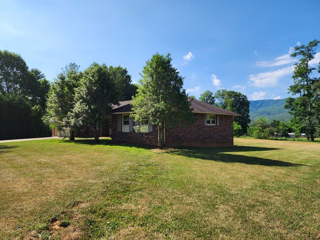 Building Photo - Large Black Mountain Rental