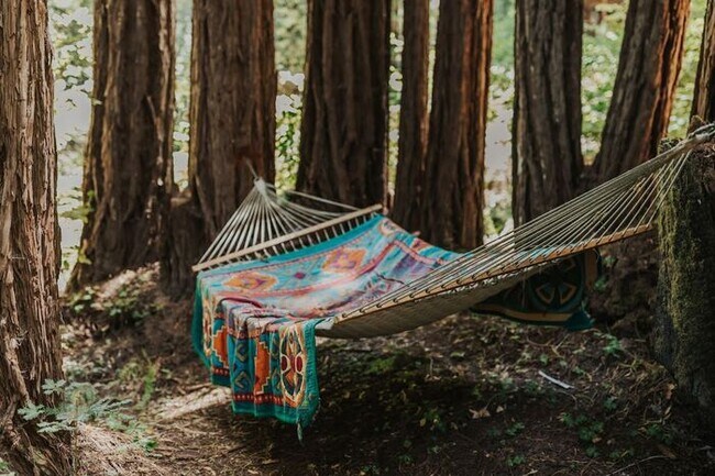 Building Photo - Sunlit Sanctuary in the Redwoods