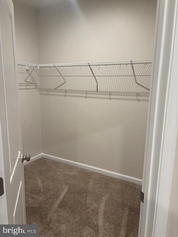 Building Photo - 11033 Blackburn Cove Ln