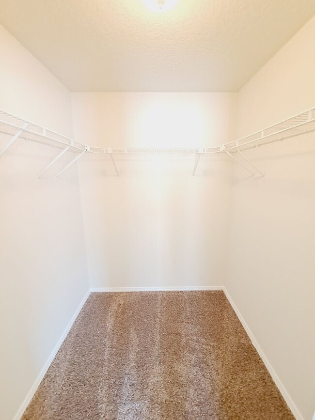 Building Photo - 3 bed 2 bath home in Huning Ranch. Great Yard