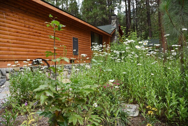 Building Photo - 8033 Larkspur Ln