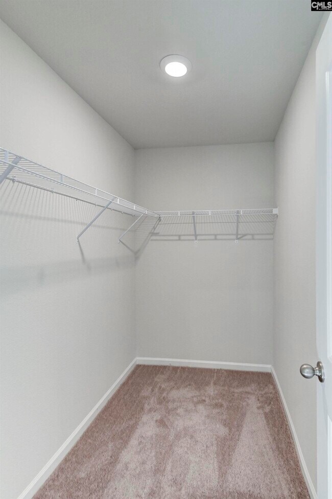 Building Photo - 807 Red Berry Ln