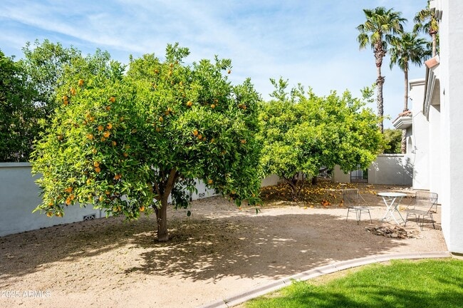 Building Photo - 6649 E Berneil Dr