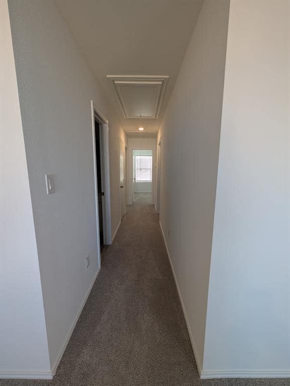 Building Photo - 635 Whoopers Lp