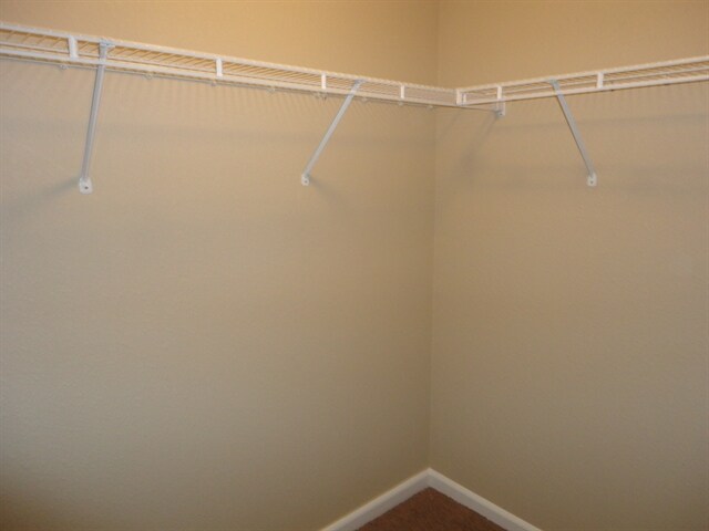 Building Photo - 4128 Candy Apple Ct