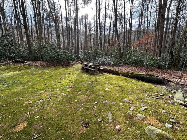 Building Photo - 2 Bedroom / 1 bath A Frame Home  Erwin, TN