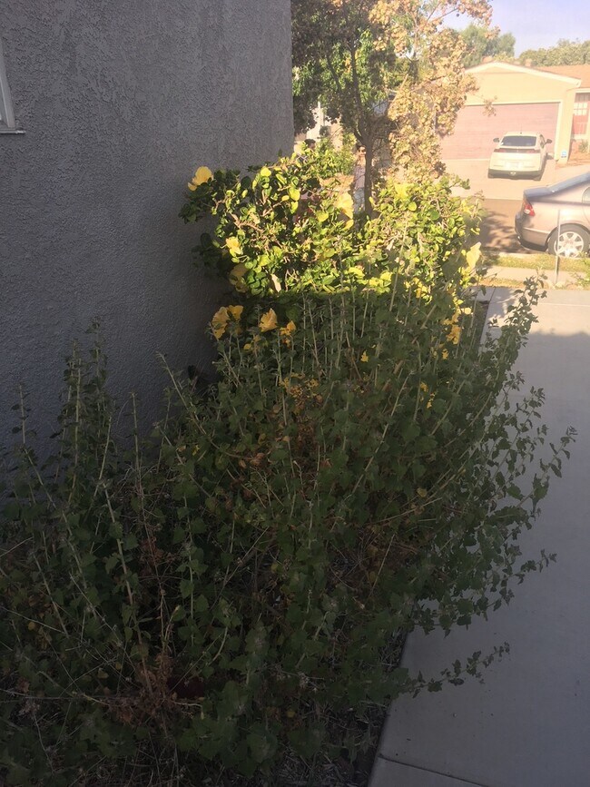 Building Photo - WALK TO SDSU! 5 bed 2 bath House w/ A/C