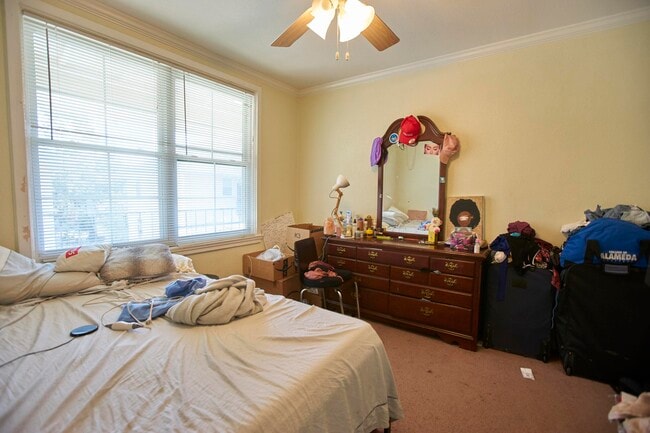 Building Photo - 7444 St Charles Ave