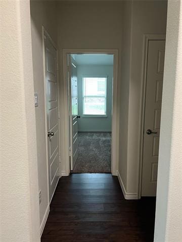 Building Photo - 2713 Colorado Dr