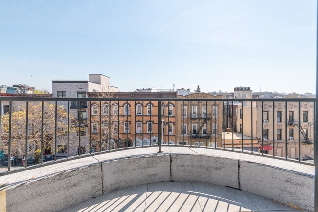 Building Photo - 217 Schaefer St