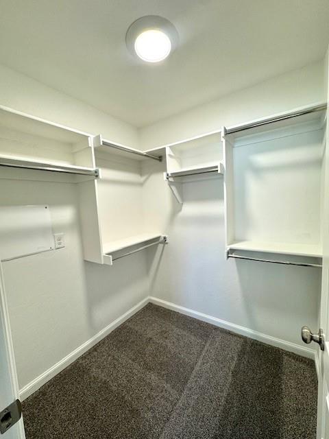 Building Photo - 3105 Gunnison River Dr