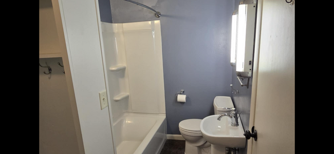 Tub shower, pedestal sink, toilet and lit medicine cabinet - 609 McDonough St