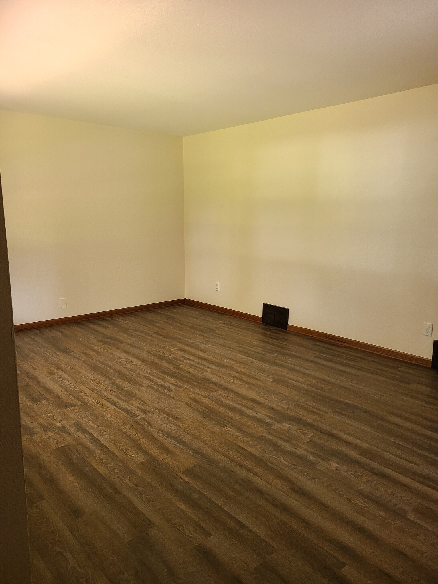 Living Room - 217 S Water St
