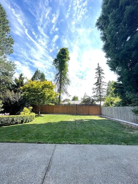 backyard - 831 NW Douglas Pl