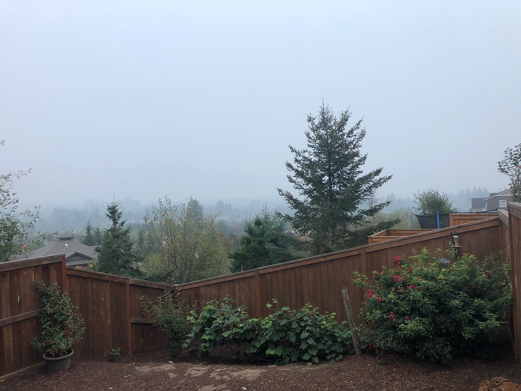 Backyard View - 15766 SE Nyla Way