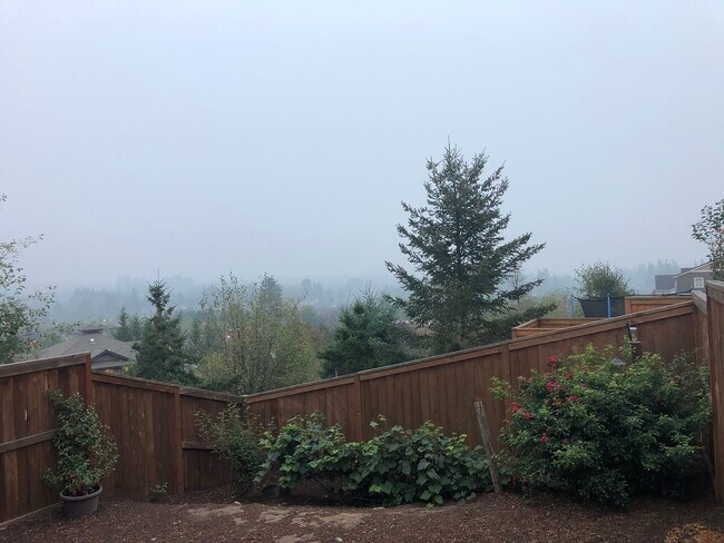 Backyard View - 15766 SE Nyla Way
