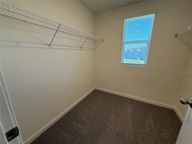 Building Photo - 599 Preston Cv Dr