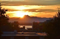 Building Photo - Gorgeous 1-BR + Den, Downtown Kirkland Condo, Steps to the Lake!