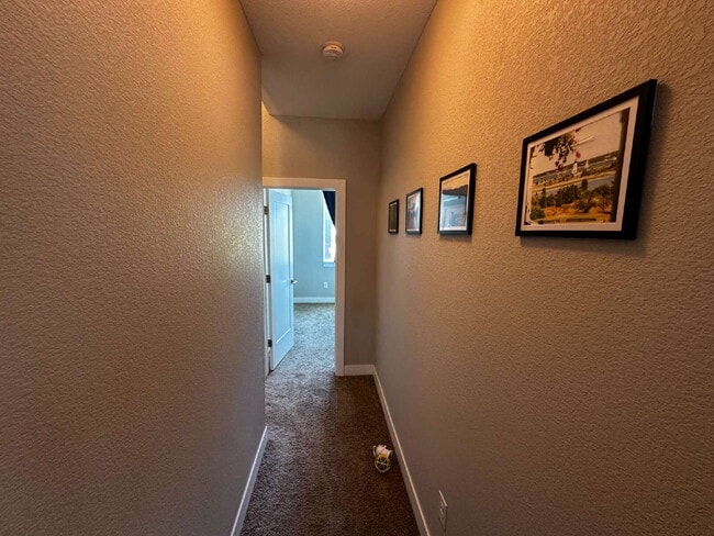 Building Photo - "Experience Modern Comfort: Spacious 2-Bed...