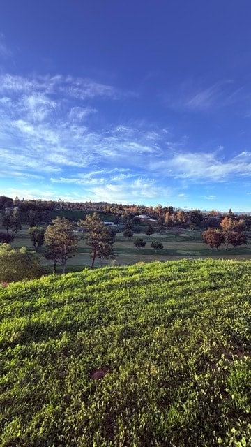 Building Photo - 2270 Prince Albert Dr