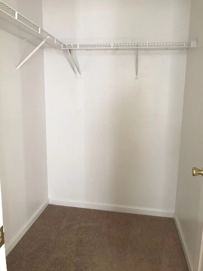 Building Photo - 3227 Halcyon Ct