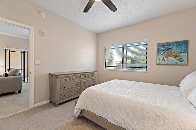 Building Photo - 2809 Amalei Dr